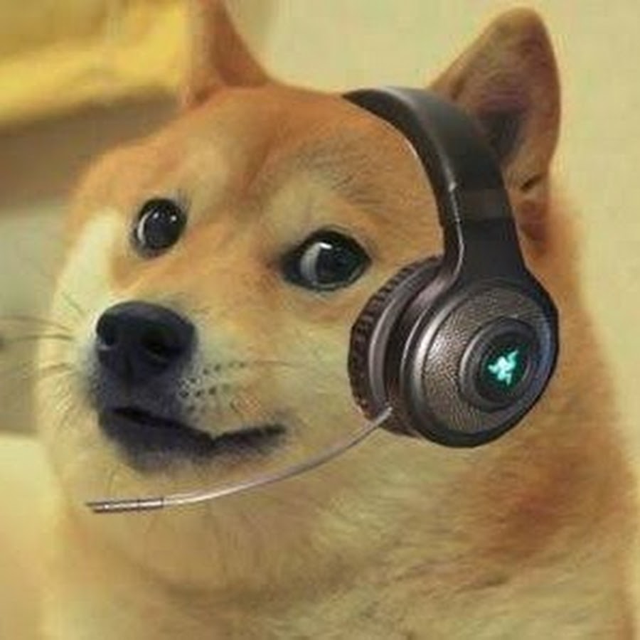 This is doge steam фото 39