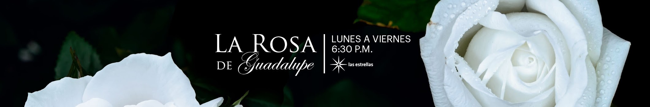 La Rosa de Guadalupe