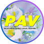 PAV channel  (Pelayanan Audio Visual Kristen)