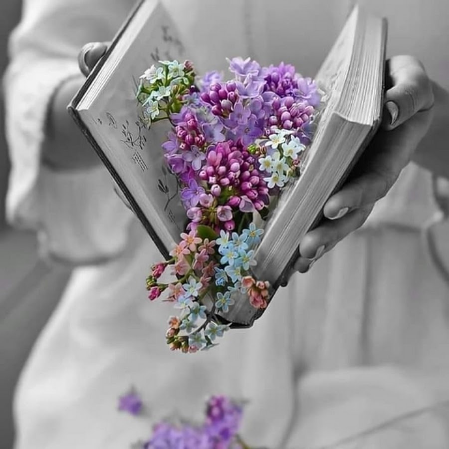 Новая жизнь разбор. Книга цветы. Букет и книга. Весенний книжный букет. Цветы и книги фото красивые.
