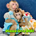 Diana monkey DiDi