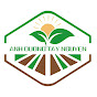 Ánh Dương Tây Nguyên Co.,Ltd