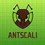 AntsCali