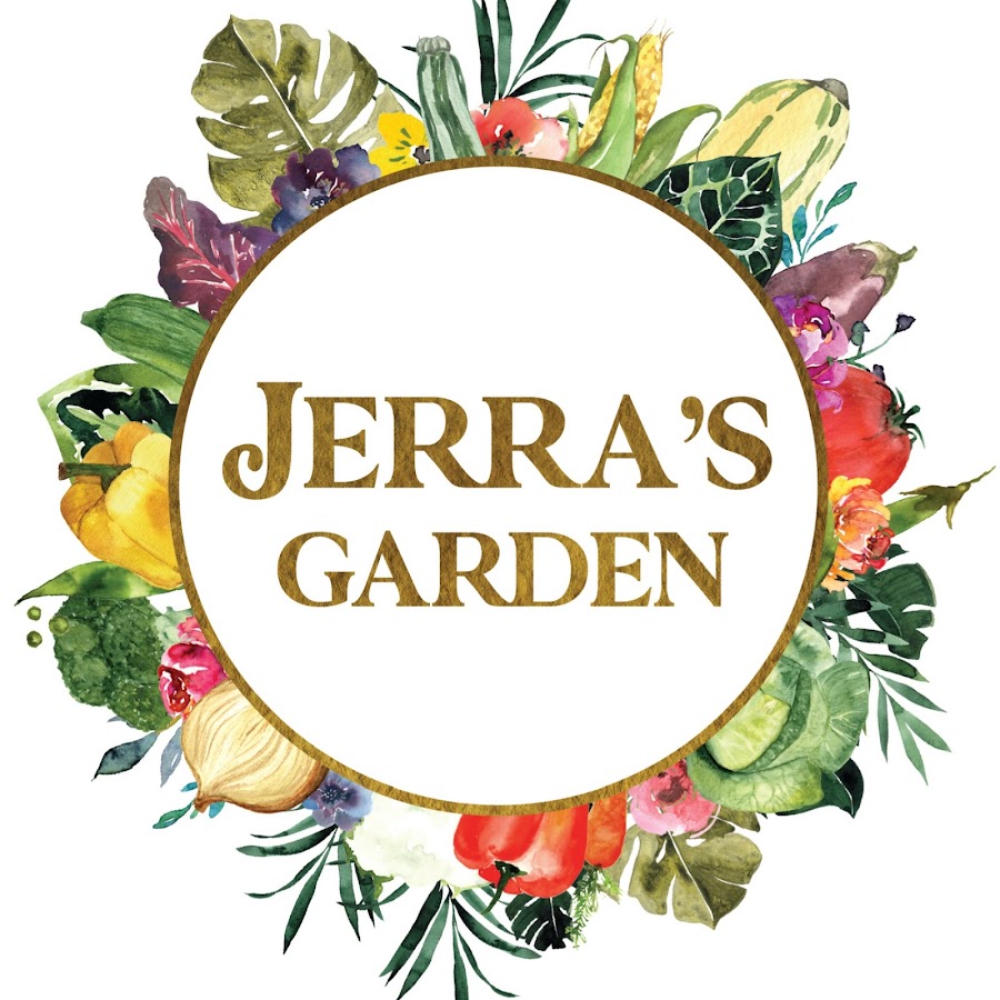 Yerba Mate LIVE Plant – Jerra's Garden