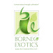 Borneo Exotics