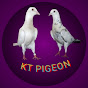 Kt pigeon lover