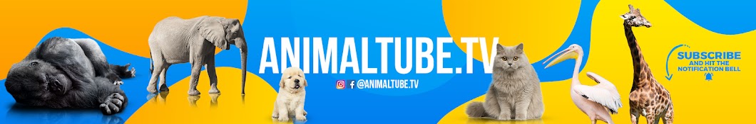 Animaltube.TV Banner