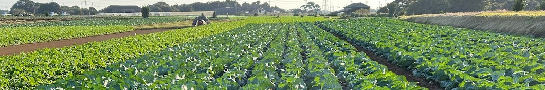 まーさん農園　〜野菜づくりの記録〜