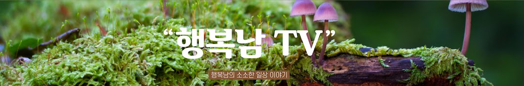 행복남 TV