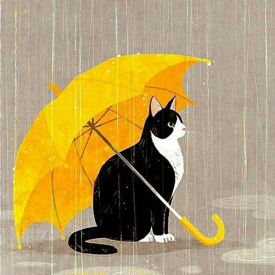 Кошка с зонтиком