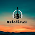 logo Melodisyen