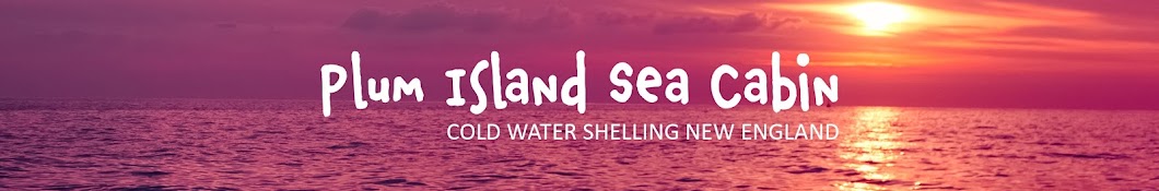 Shelling With Plum Island Sea Cabin  Banner
