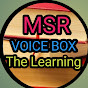 MSR VOICE BOX 