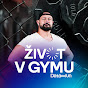 Život v gymu