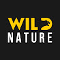 WILD NATURE - Nature animal documentary