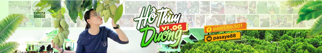 Hồ Thùy Dương Vlog Banner