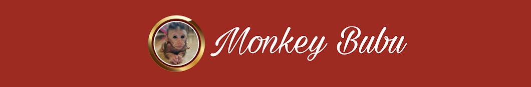 Monkey Bubu Banner