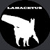 logo Lamacetus