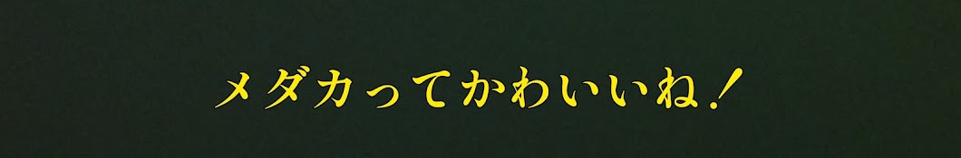 エメラルド【マンションでメダカ】