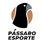 Pássaro Esporte