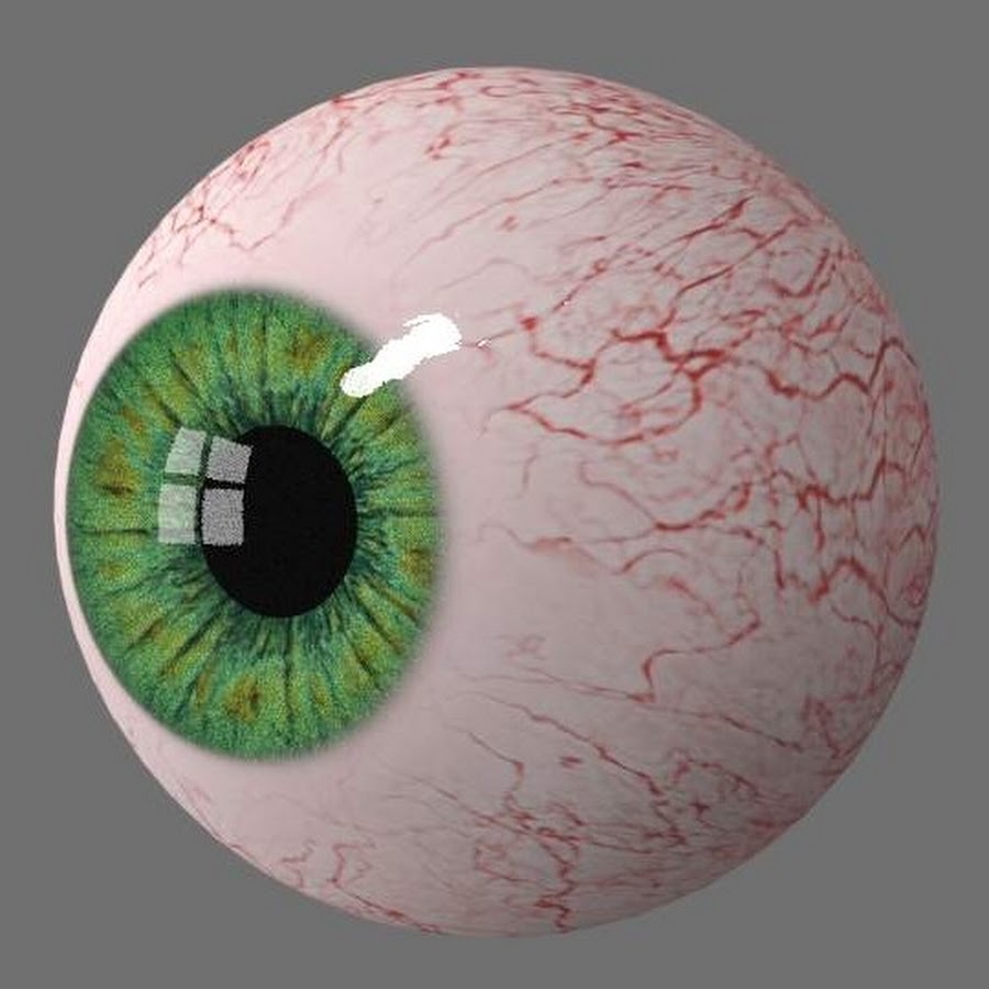 Eye d. Глаз 3d. Глаз 3д модель. Глаз 3d анимация. Строение глаза 3д модель.