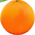 logo Orange City