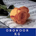 obondor_kg tiktok 