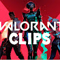 VALORANT CLIPS -ヴァロクリ-  