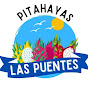 Pitahayas las puentes ing. Zadath 