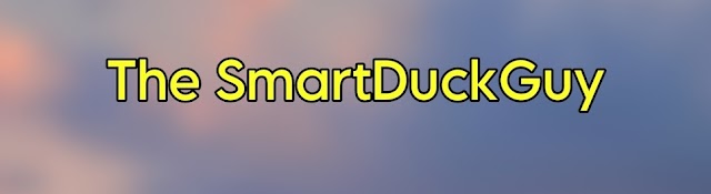 The SmartDuckGuy