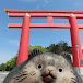 私の好きな淡路島【空・海・大地の恵み】