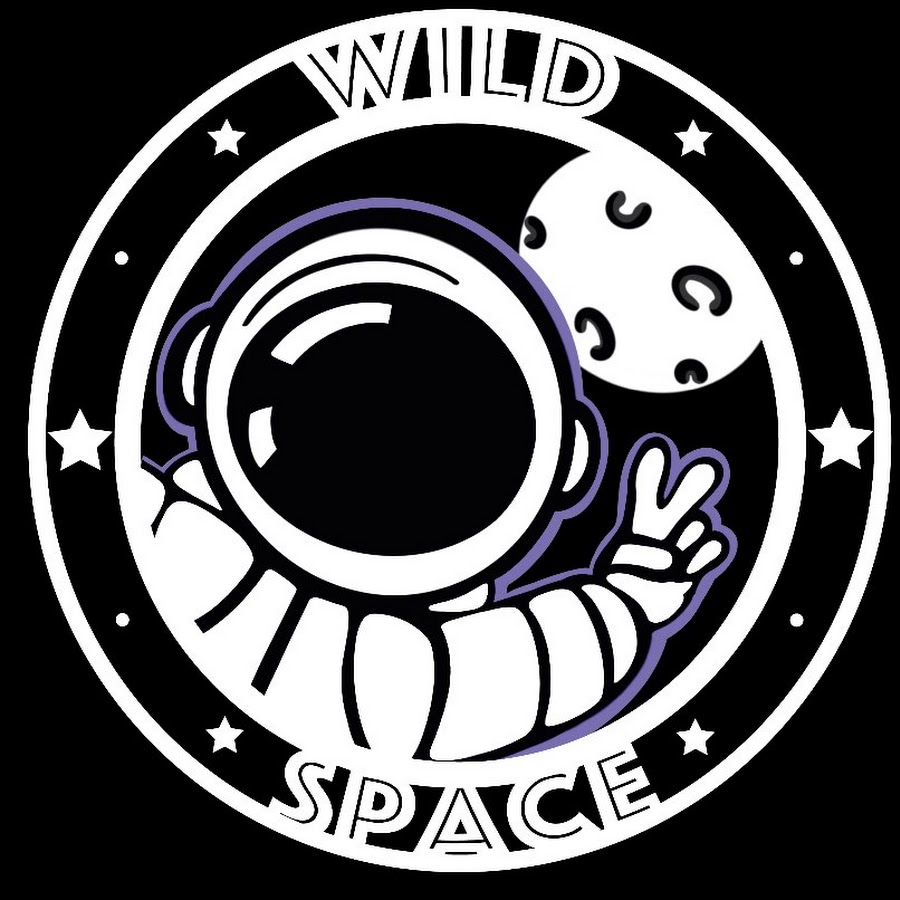 Wild space. Coffeespace Team логотип. Wild Cosmos. Space Coffee.