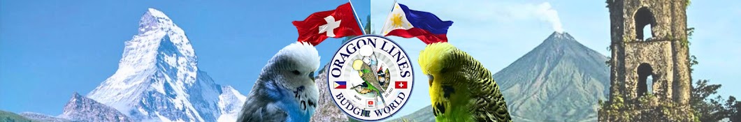 Oragon Lines Budgie World