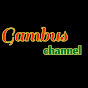 Gambus channel