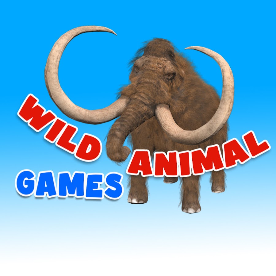 Wild Animal Games - YouTube