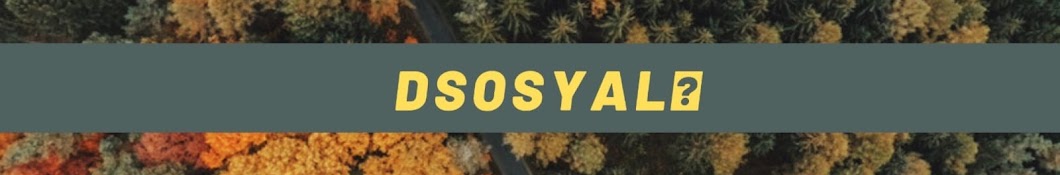 D Sosyal