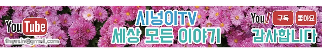 시넝이TV - 세상 모든 이야기