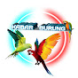 kabar burung