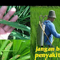 Petani pemula bcbt