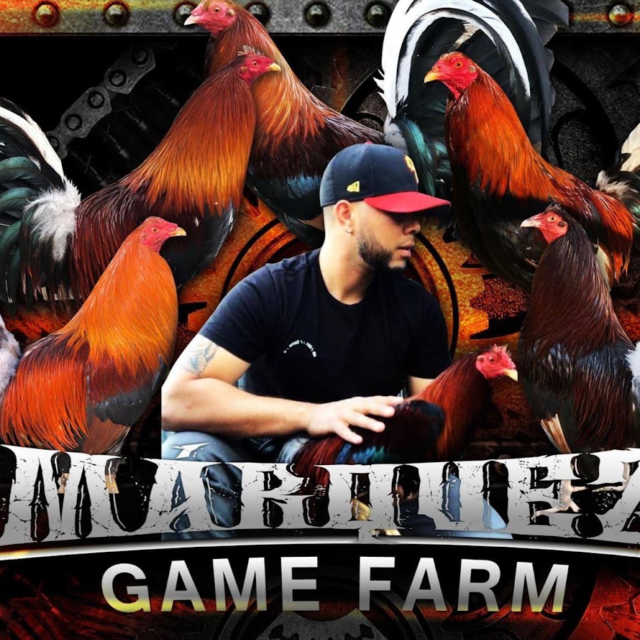 Marquez Gamefarm @marquezgamefarm4659