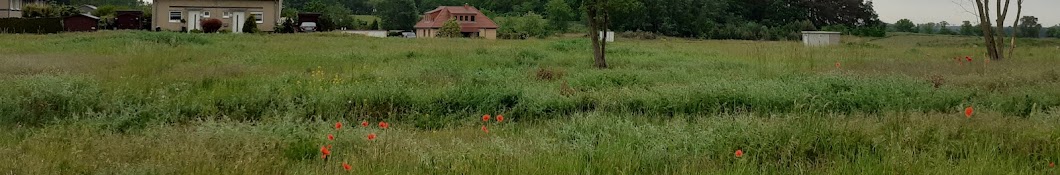 언덕 위 책방 Library on the Hill