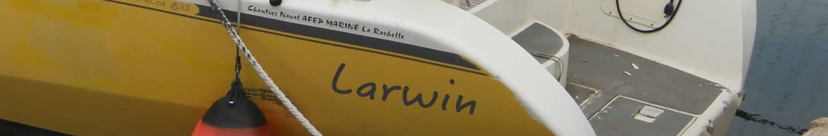 larwinlevoilierjaune