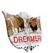 Dreamer Foundation