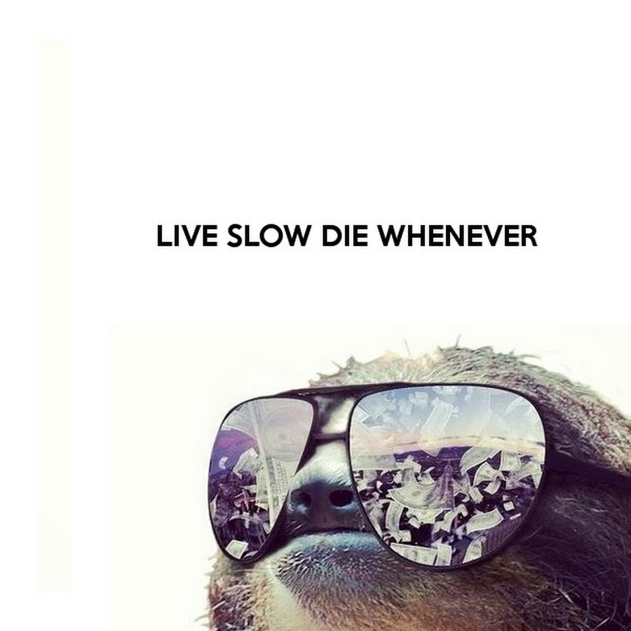 Die slow. Live Slow die whenever. Live fast die whenever обложка. Еду коан.