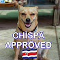 Tamarindo Costa Rica With Chispa