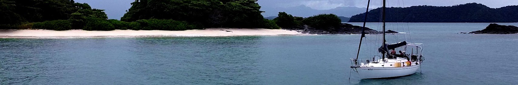 searchingforcoconuts2248