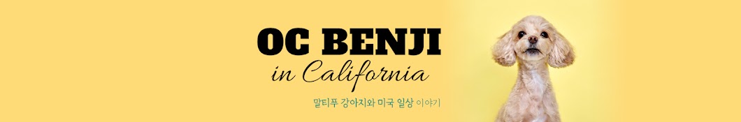 OC BENJI 미국 오씨 벤지