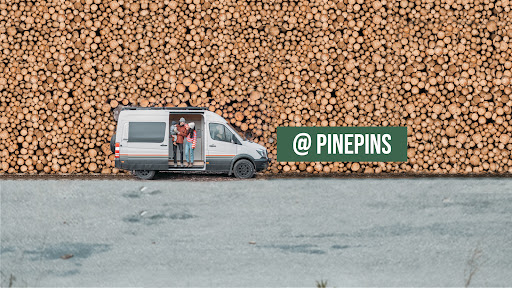pinepins banner