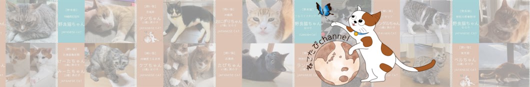 ねこたびchannel