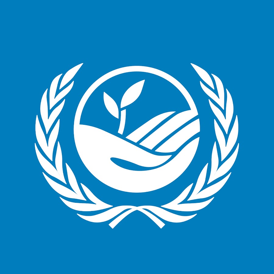 UNCCD - YouTube